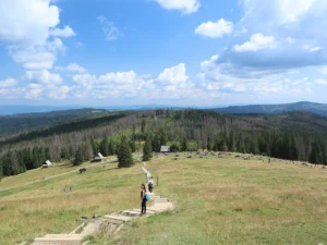 Rusinowa Polana: łatwy spacer z panoramą Tatr