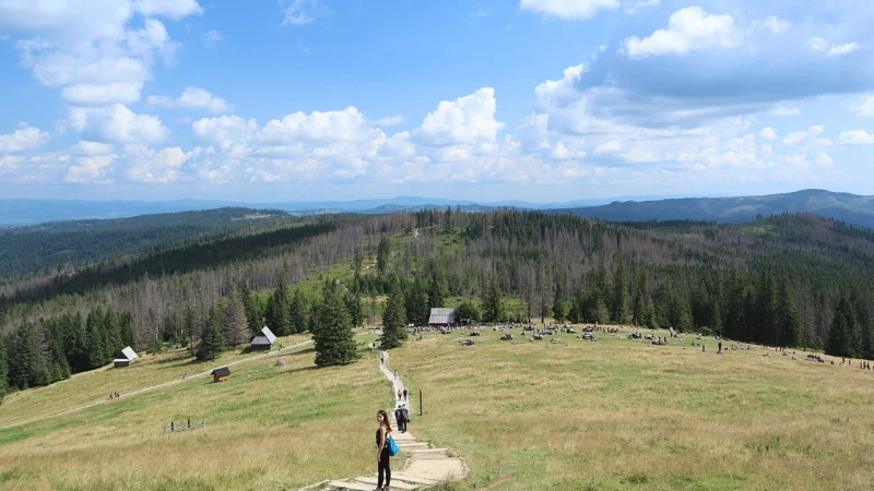 Rusinowa Polana: łatwy spacer z panoramą Tatr